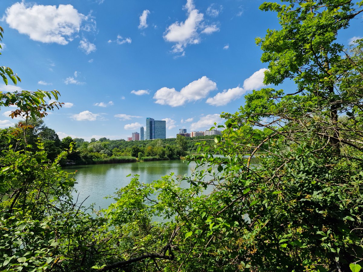 DJairportdisco's tweet photo. Favourite view. 
#wienerberg #pond #vienna #10thdistrict #wienliebe #visitvienna #viennaaustria #mypond #favpond #littleskyline #afternoonwalk #clouds #june #naturephotography #naturephoto #favouriteview https://t.co/vxgitYNG5J