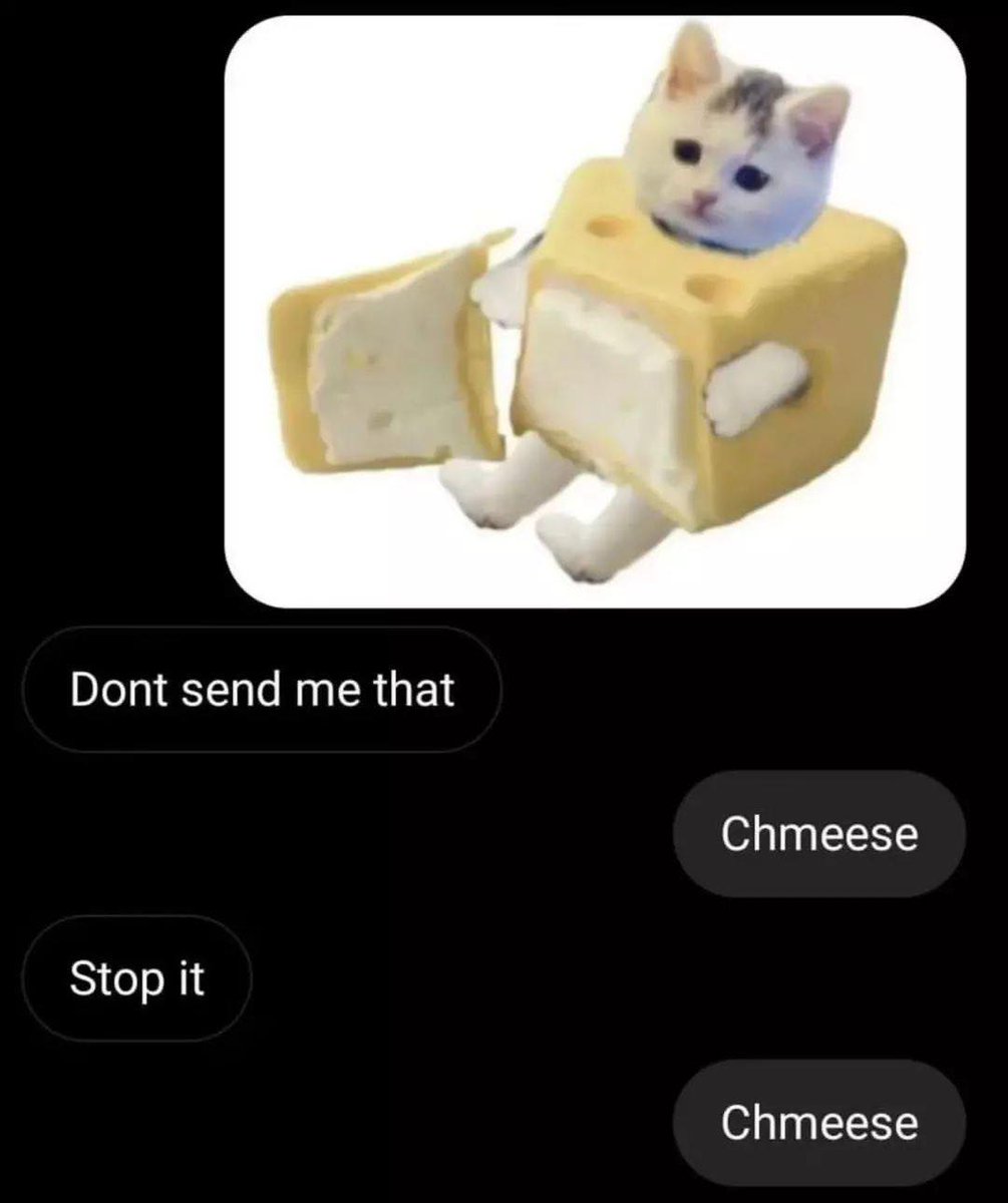 Punch Cat tweet media