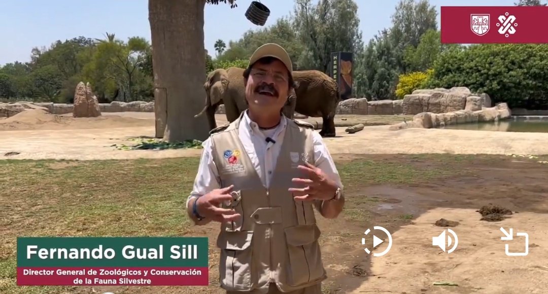 YoAmoaLaCiencia's tweet photo. ¿Tiene credibilidad el responsable de la muerte de más de 5 mil animales?

Durante el Gobierno de Sheinbaum en la CDMX detectamos la muerte masiva de animales y el cobro de seguros.

Detrás de esto un responsable: Fernando Gual.

¿Te interesa conocer por qué fracasó el programa de reproducción de Pandas cuando Sheinbaum era la titular  de Secretaría de Medio Ambiente? 

Lo estaremos publicando a la brevedad.