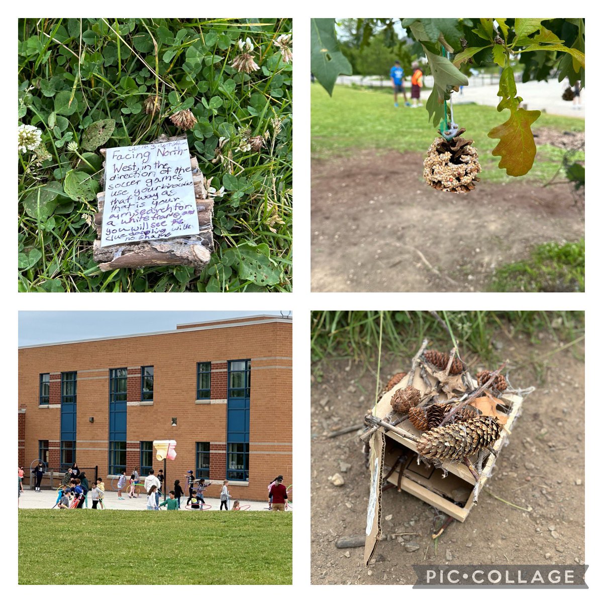 On Monday, CRB had their final HOUSES event of the school year. It was busy! Three periods of movement activities, art tasks and a very special Geocache task. What made it special? Well, our class planned, designed, and built all the Geocache boxes and clues.  Way to go class!