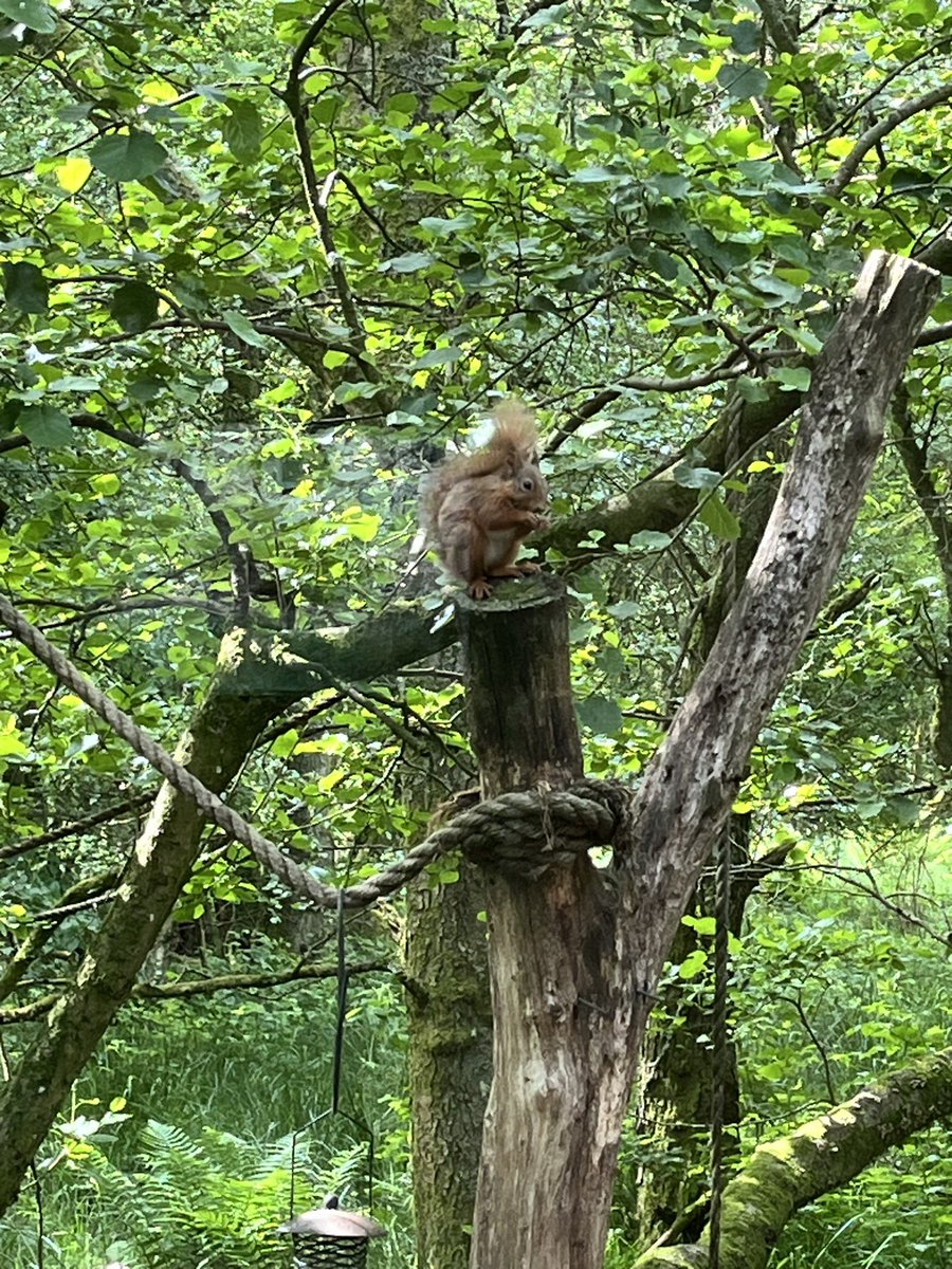 Claire Cresswell (@clairestaiao) on Twitter photo Day 3 part 1 of the <a href="/UC_Sparsholt/">University Centre Sparsholt</a> #Agriculture study tour, we headed to <a href="/ScotWildlife/">Scottish Wildlife Trust</a> <a href="/LochoftheLowes/">Loch of the Lowes Wildlife Reserve</a> to hear from Roisin Campbell-Palmer from <a href="/BeaverTrust/">Beaver Trust</a> on beavers and on farm management dilemmas and solutions Day 3 part 1 of the <a href="/UC_Sparsholt/">University Centre Sparsholt</a> #Agriculture study tour, we headed to <a href="/ScotWildlife/">Scottish Wildlife Trust</a> <a href="/LochoftheLowes/">Loch of the Lowes Wildlife Reserve</a> to hear from Roisin Campbell-Palmer from <a href="/BeaverTrust/">Beaver Trust</a> on beavers and on farm management dilemmas and solutions