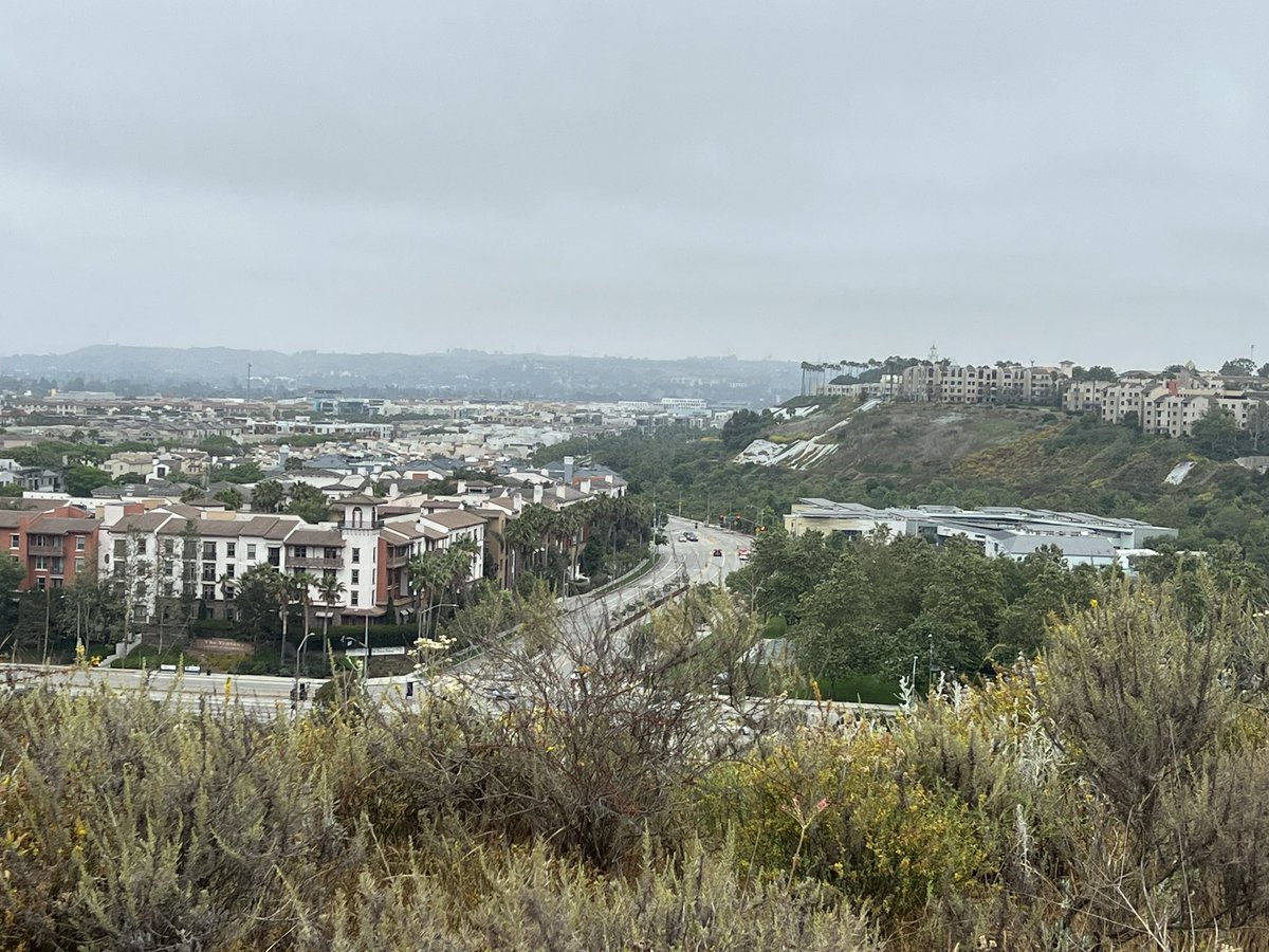btsunoda's tweet photo. Enjoyed the Playa Del Rey walk designed by @SweetSlinky - views from Playa Vista Bluffs leading to the beach. #walkingla https://t.co/vakpO7qLKg