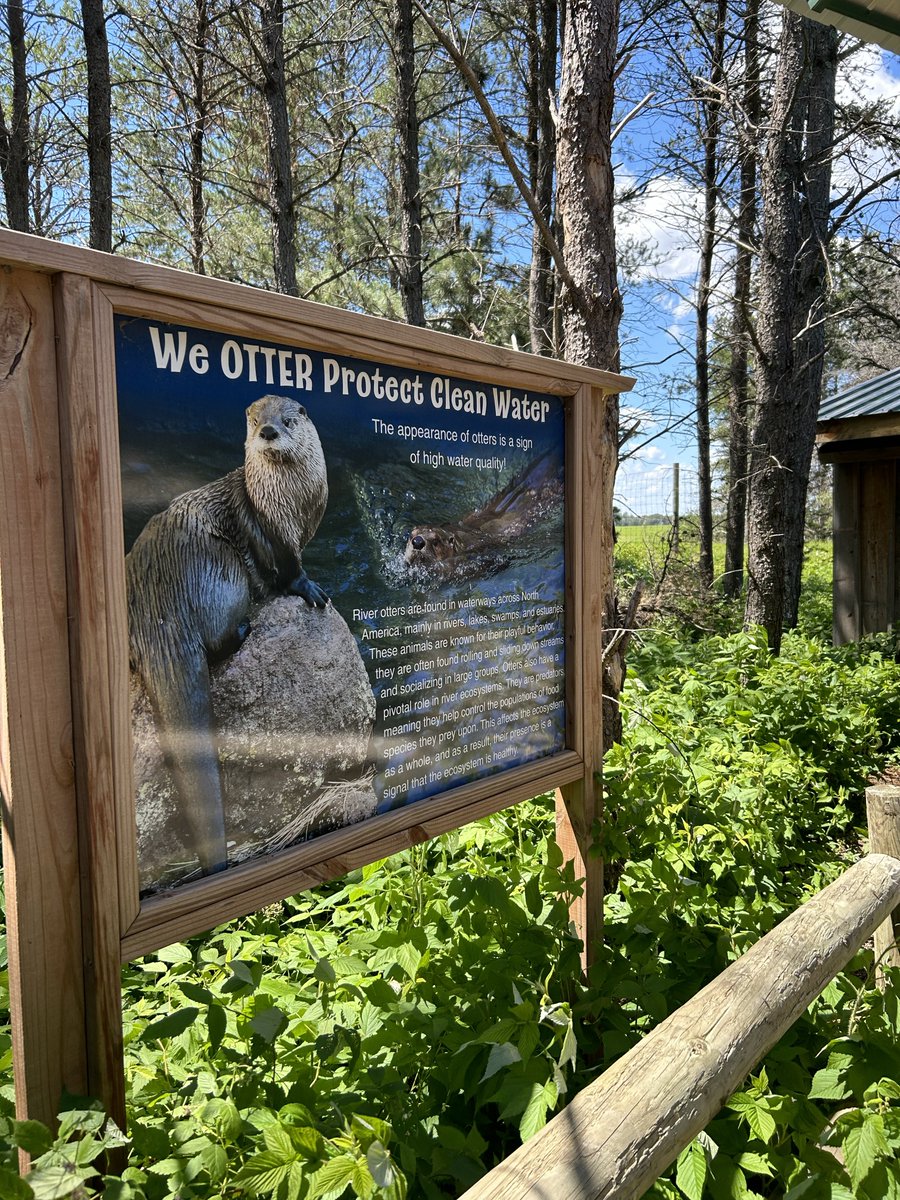 I went to the zoo today to do some research 🦦✍️