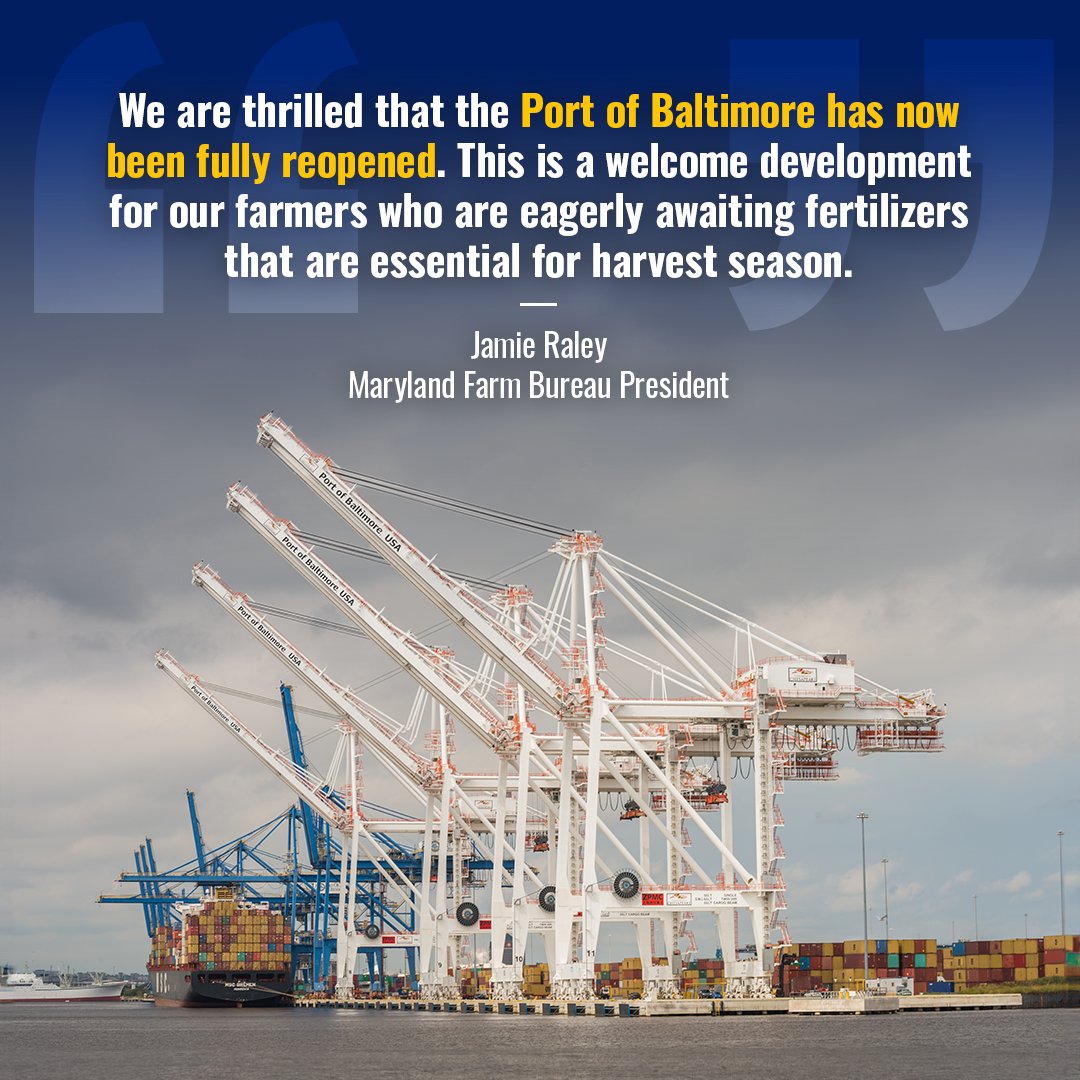 FarmBureauMD's tweet image. The @portofbalt, the largest U.S. port for farm and construction machinery, is crucial for Maryland agriculture. It handles vital imports and exports, including $243M in soybeans.

After an 11-week closure, we're thrilled it's fully reopened! mdfarmbureau.com/statement-on-t…