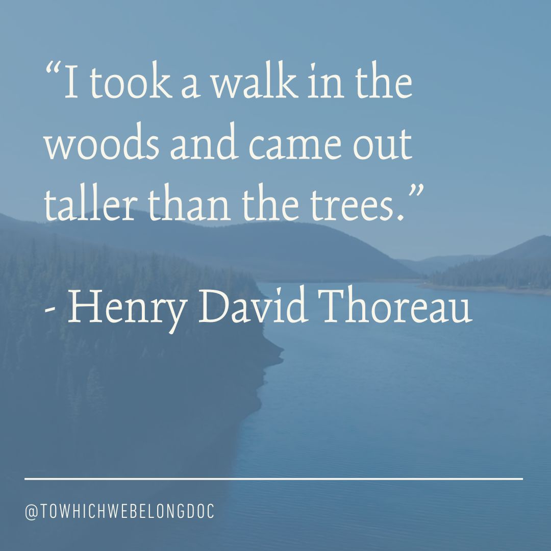 “I took a walk in the woods and came out taller than the trees.” - Henry David Thoreau

🎥 TO WHICH WE BELONG available now on Apple, Amazon, Google Play, Vimeo, Vudu, &amp; YouTube. 

WATCH: buff.ly/3VYO6ri

#naturequote #henrydavidthoreau