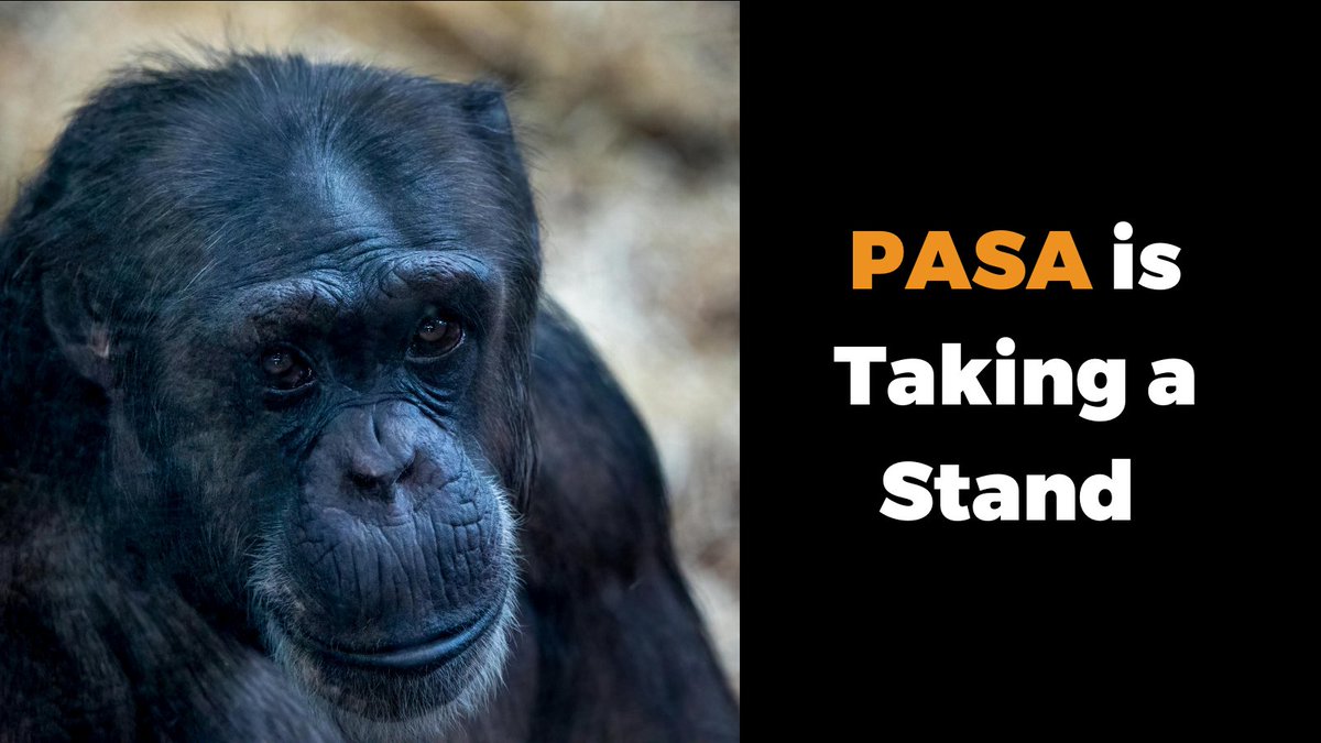 🐒Every day, wildlife protection and animal rescue orgs are contacted by YouTube users who encounter content featuring animal exploitation.

We have sent a letter urging Google/YouTube to increase efforts in combating wildlife cruelty. 

Read our letter 👉lnkd.in/gyrGY2r4