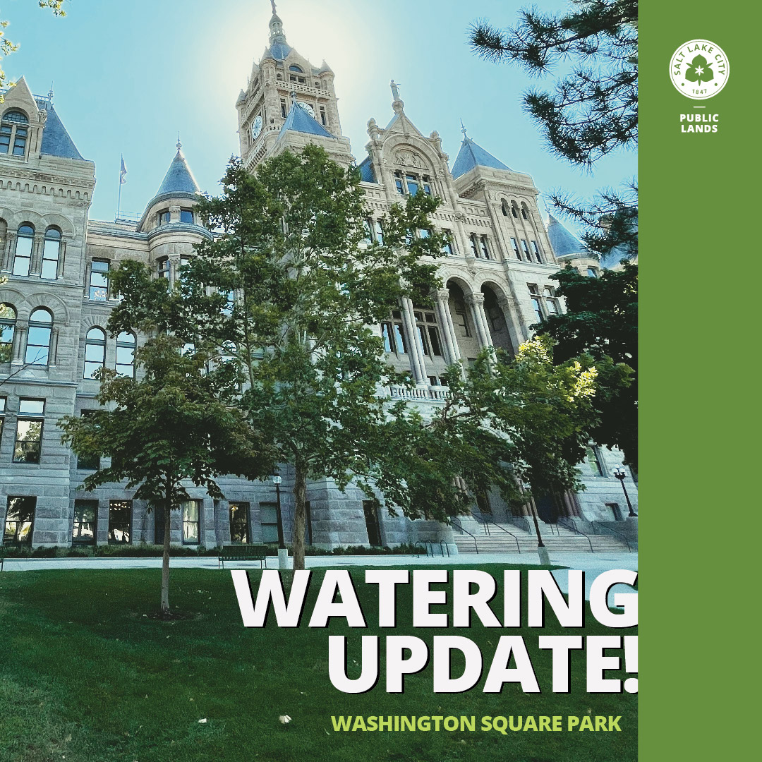 SLCPublicLands's tweet photo. π¦ This week we're watering more frequently! In preparation high-traffic events, weβll water more so our lawns endure heat and traffic. Well-watered lawns keep the surrounding temps down, keeping you cooler, too! Learn how we water at https://t.co/wXF83GbxSn #waterresponsibly https://t.co/flMFu6g4k1