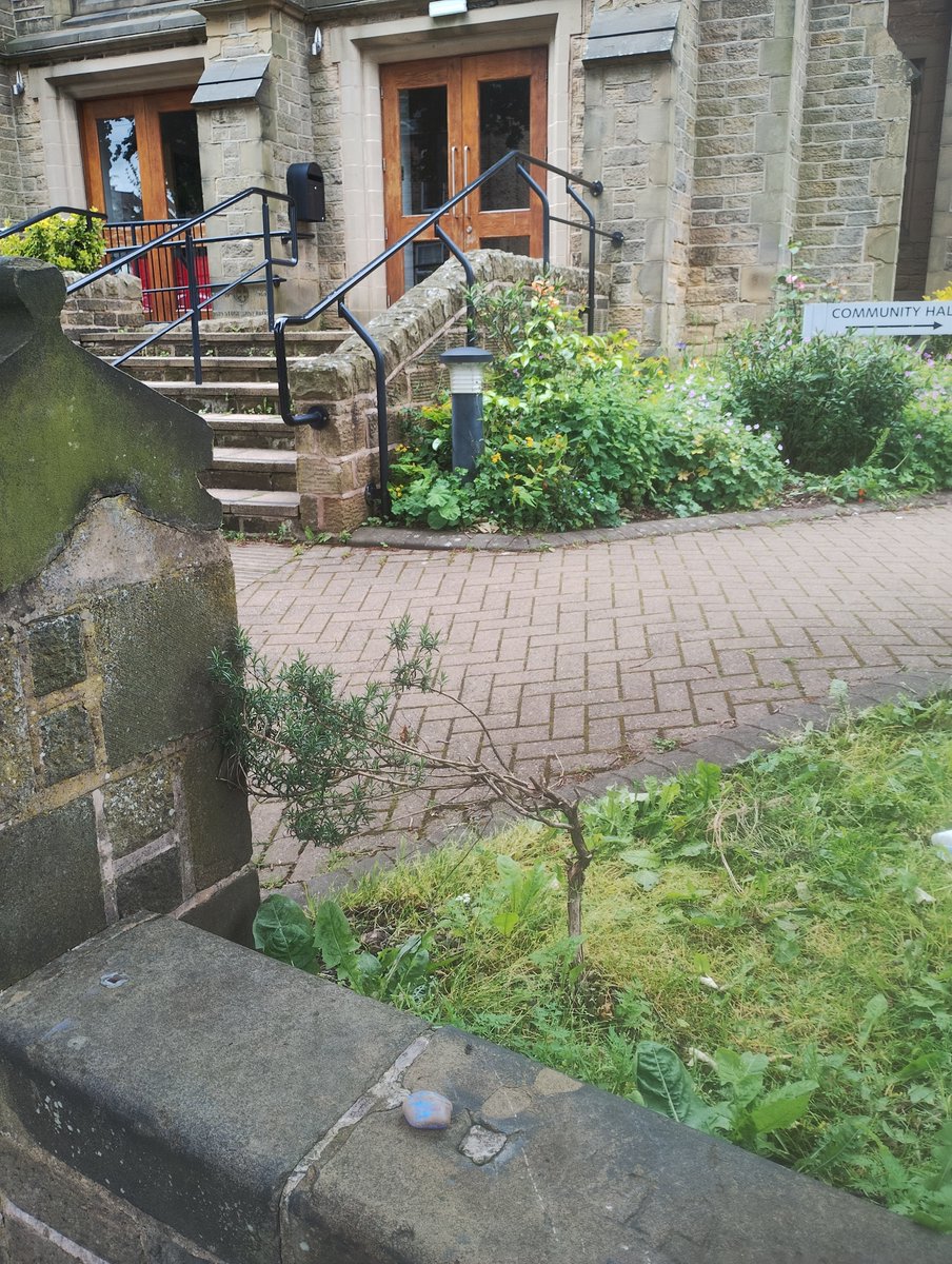 I put my son's #AphasiaAwarenessMonth stone by <a href="/StTimsCrookes/">St Tim’s Crookes</a> @DioceseofSheff⛪ #RockingAphasia <a href="/RockingAphasia/">Rocking Aphasia</a>