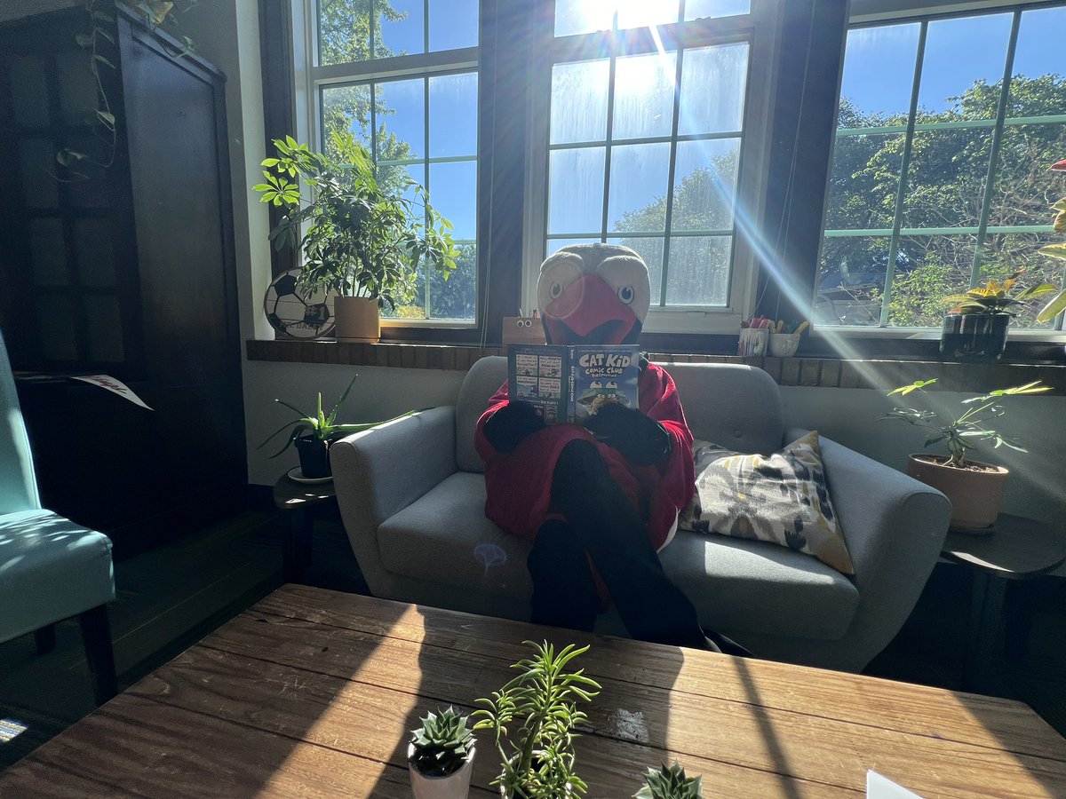 Brandon Daley tweet media