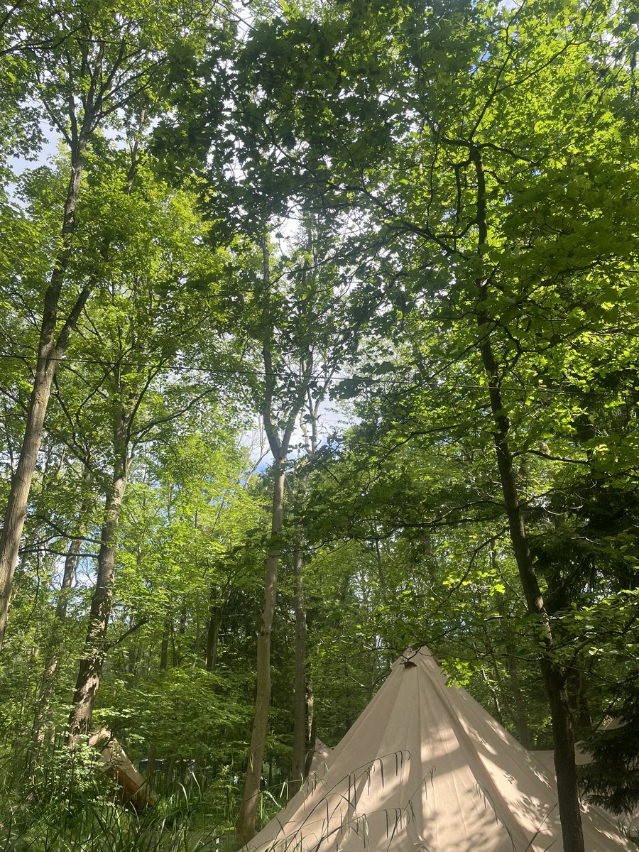 Miss Doherty tweet media