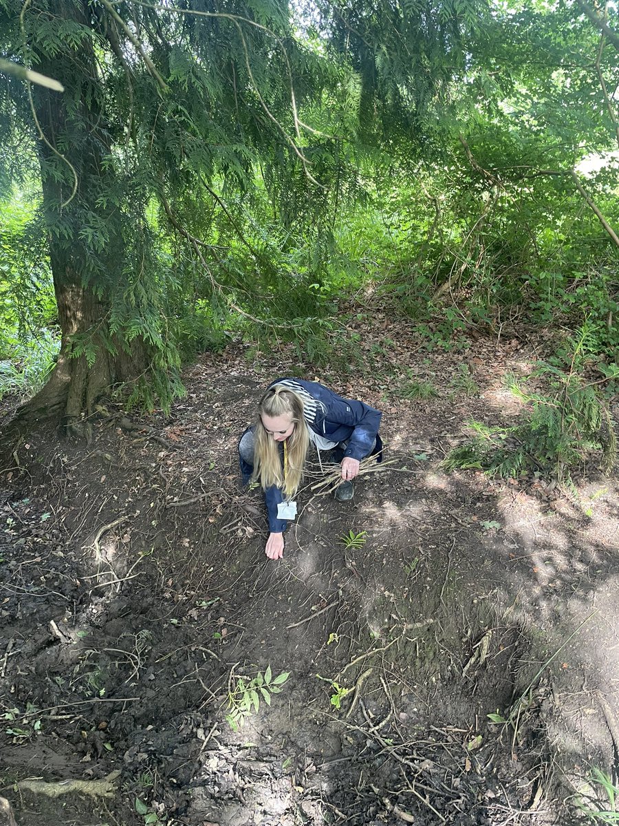 Miss Doherty tweet media