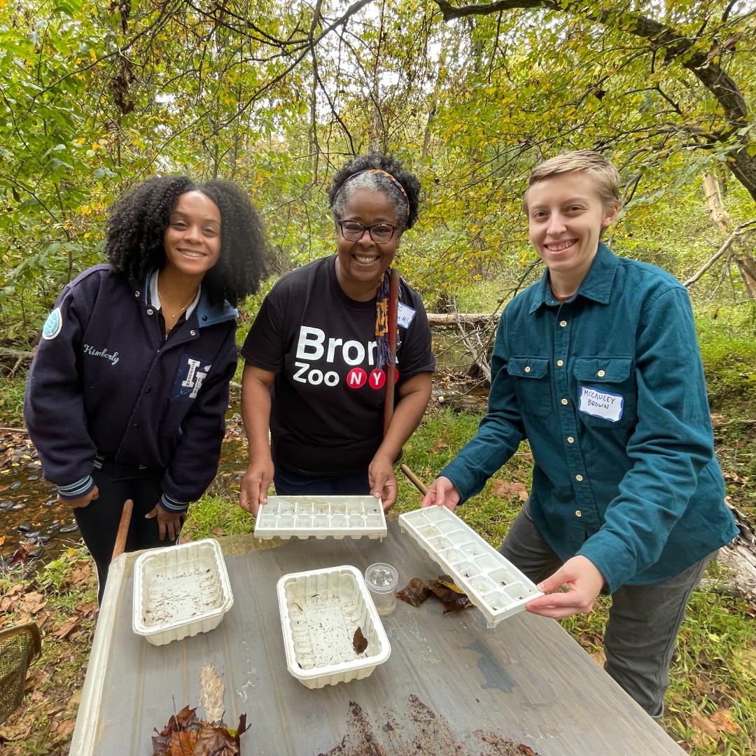 Teachers! Join us at our summer training sessions: Bridging the Watershed Teacher Training (July 11-12) &amp; From Classrooms to Creeks: Environmental Literacy Training for Teachers (Aug 5). Learn more about both opportunities at fergusonfoundation.org/forteachers 
#environmentaleducation