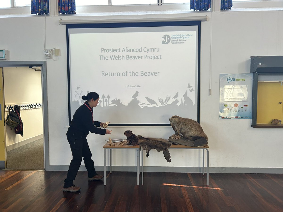 Mount Pleasant Primary tweet media