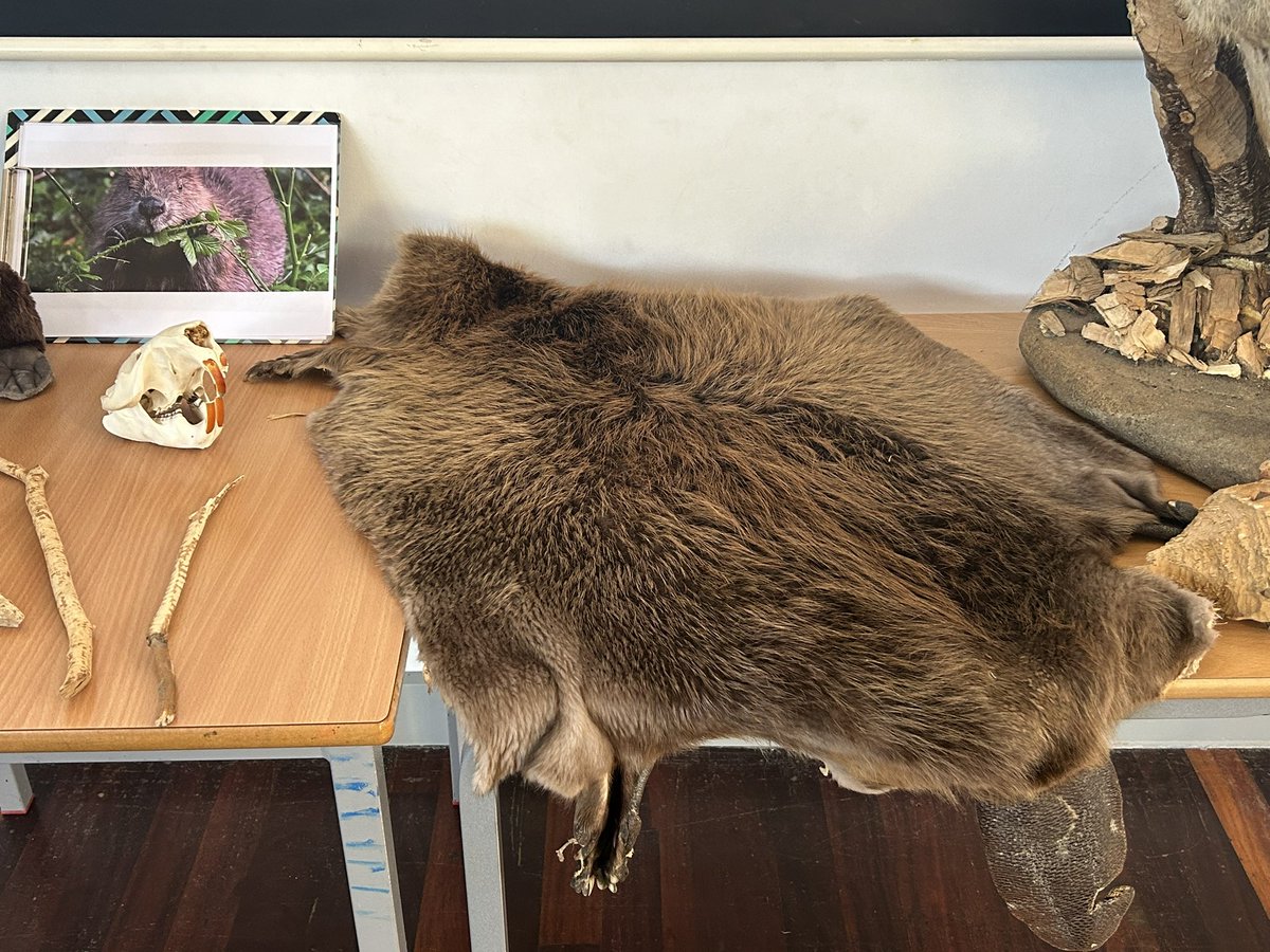 Mount Pleasant Primary tweet media