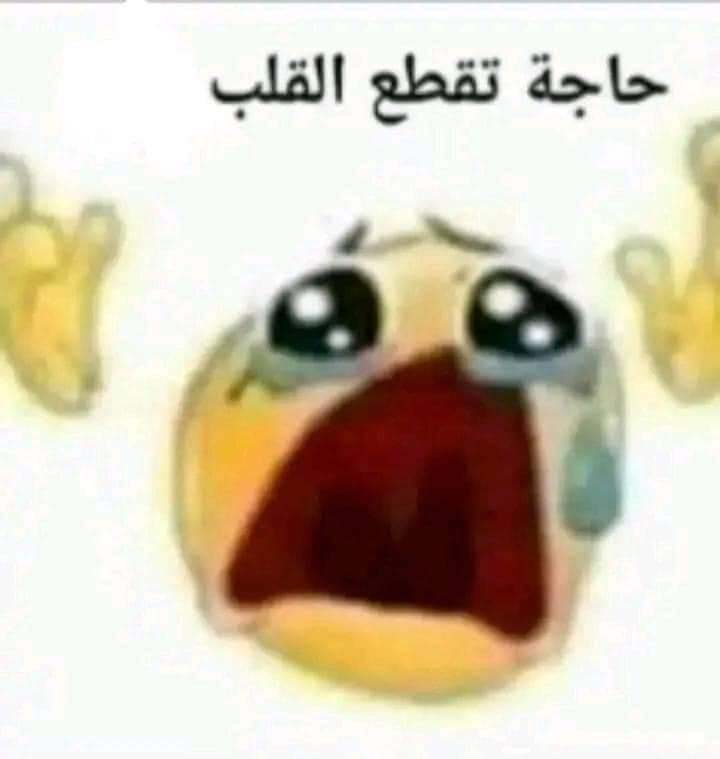 Ah1205652's tweet photo. @dribrahim_fawzy https://t.co/4MONMvRAqc