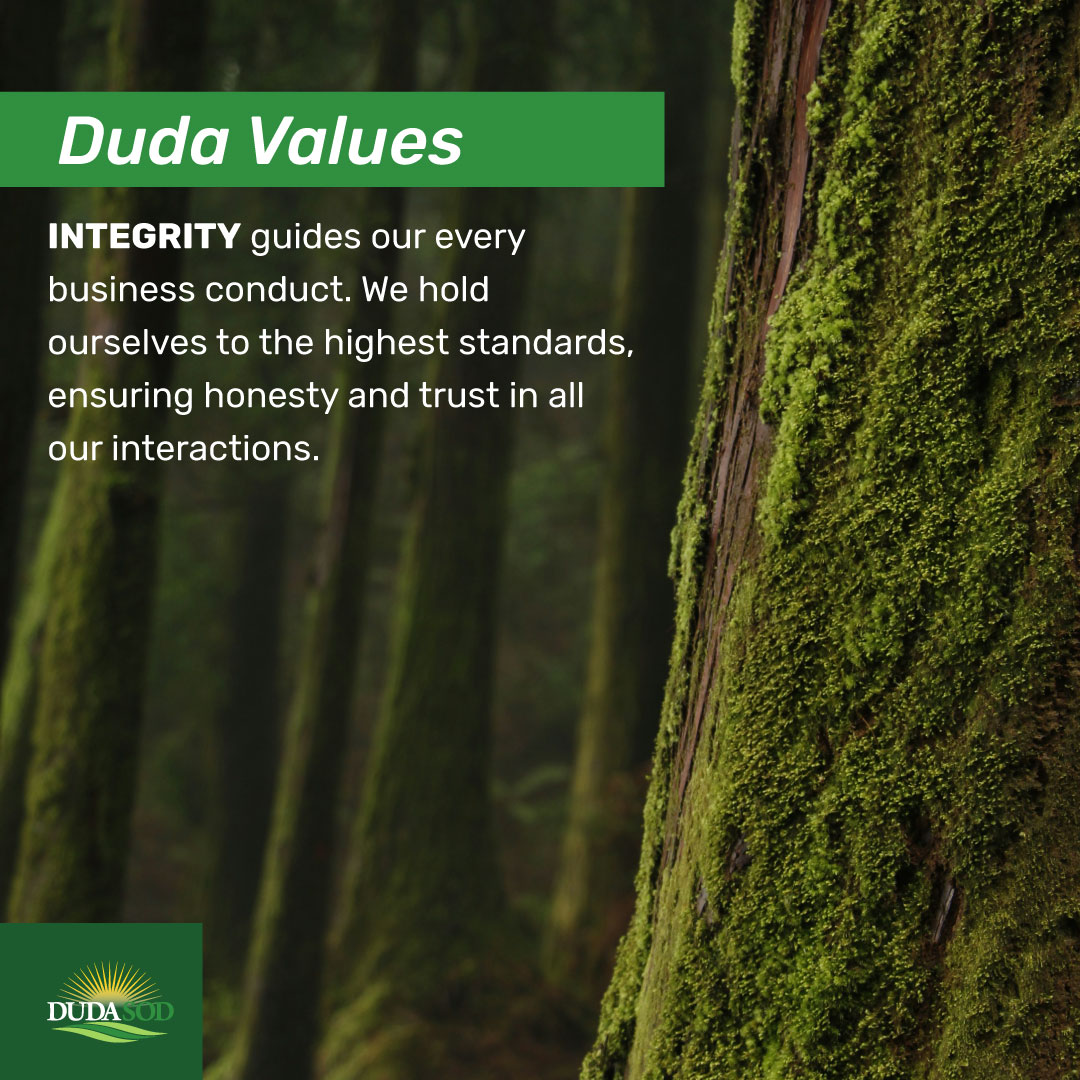 dudasod's tweet photo. Duda Values: Integrity guides our every business conduct. We hold ourselves to the highest standards, ensuring honesty and trust in all our interactions. https://t.co/jxd4q0wPn6