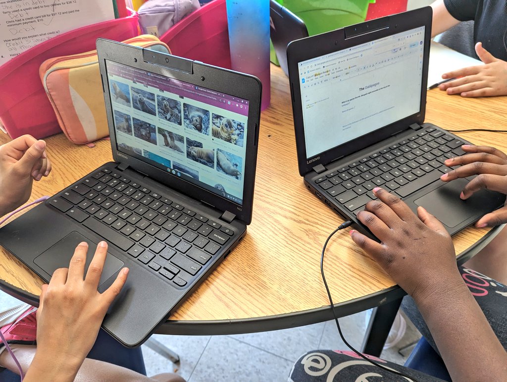 MrsMorgado1's tweet image. Students are helping me prepare for my expedition in August to the #Galapagos with @NatGeoEducation @LindbladExp by researching species I may encounter.