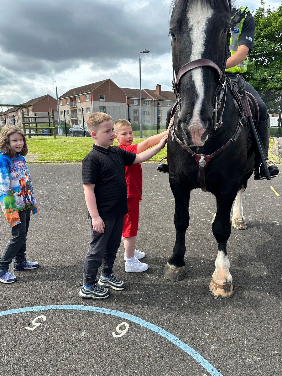 Eilidh Thomson tweet media