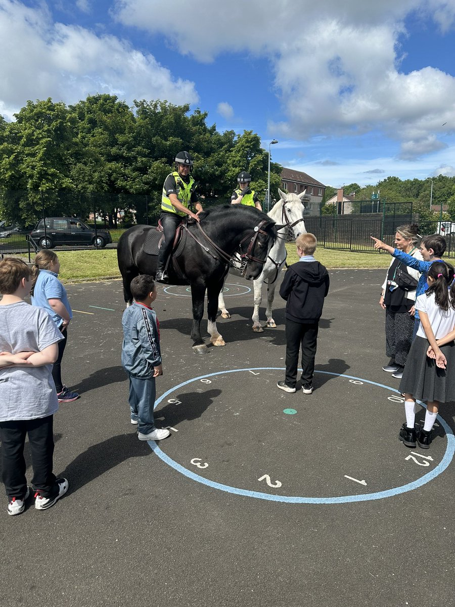 Eilidh Thomson tweet media