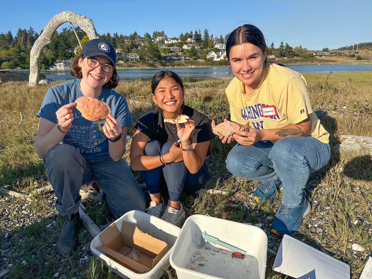Want to learn native crabs and help monitor for invasive green crab on your local shoreline? See wsg.washington.edu/moltsearch for a map &amp; calendar of the many trainings being offered across the region this month. And join in on June 20th for the Salish Sea-wide Molt Blitz!