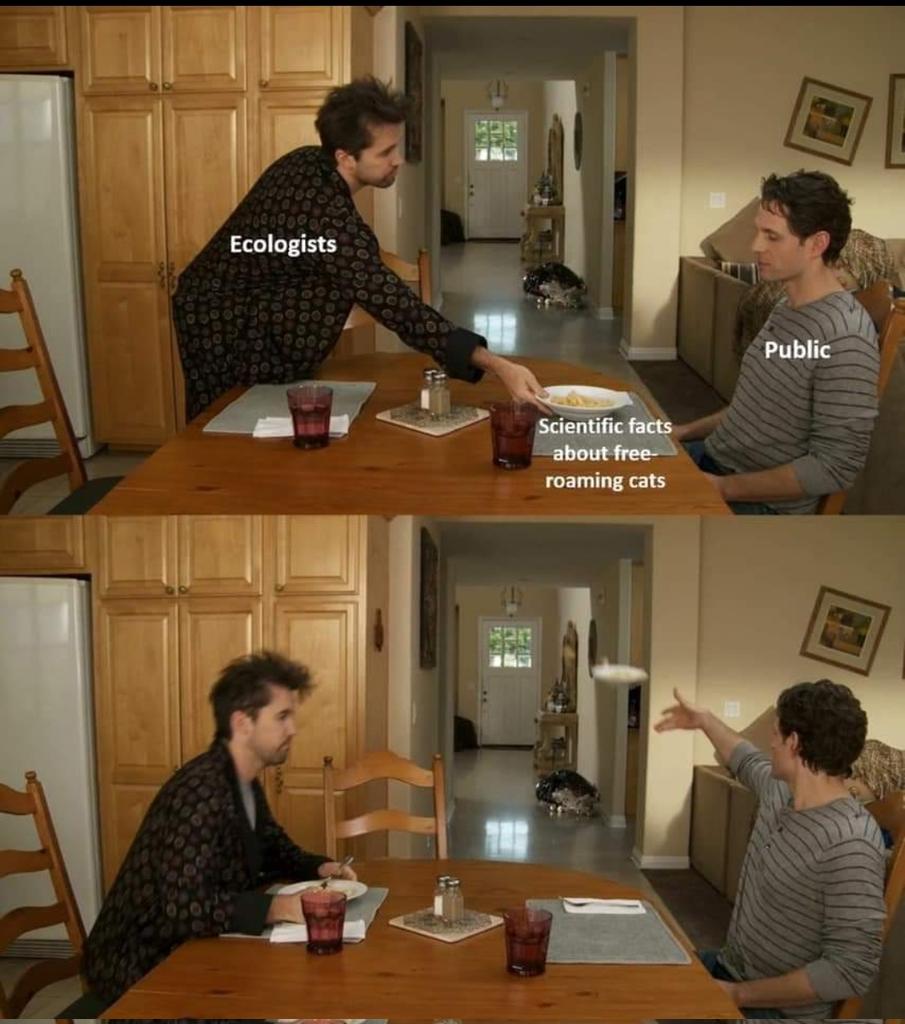 FPawelczyk2024's tweet image. On average, #IndoorCats live longer and healthier lives. They can be trained to walk on a lead, and #Catios offer safe outdoor spaces.