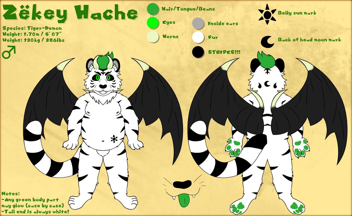 Zëkey Hache tweet media