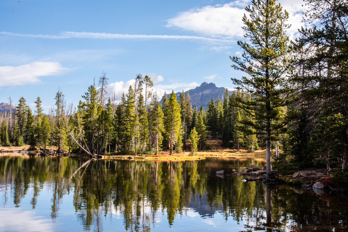 Summit County Health - Utah tweet media