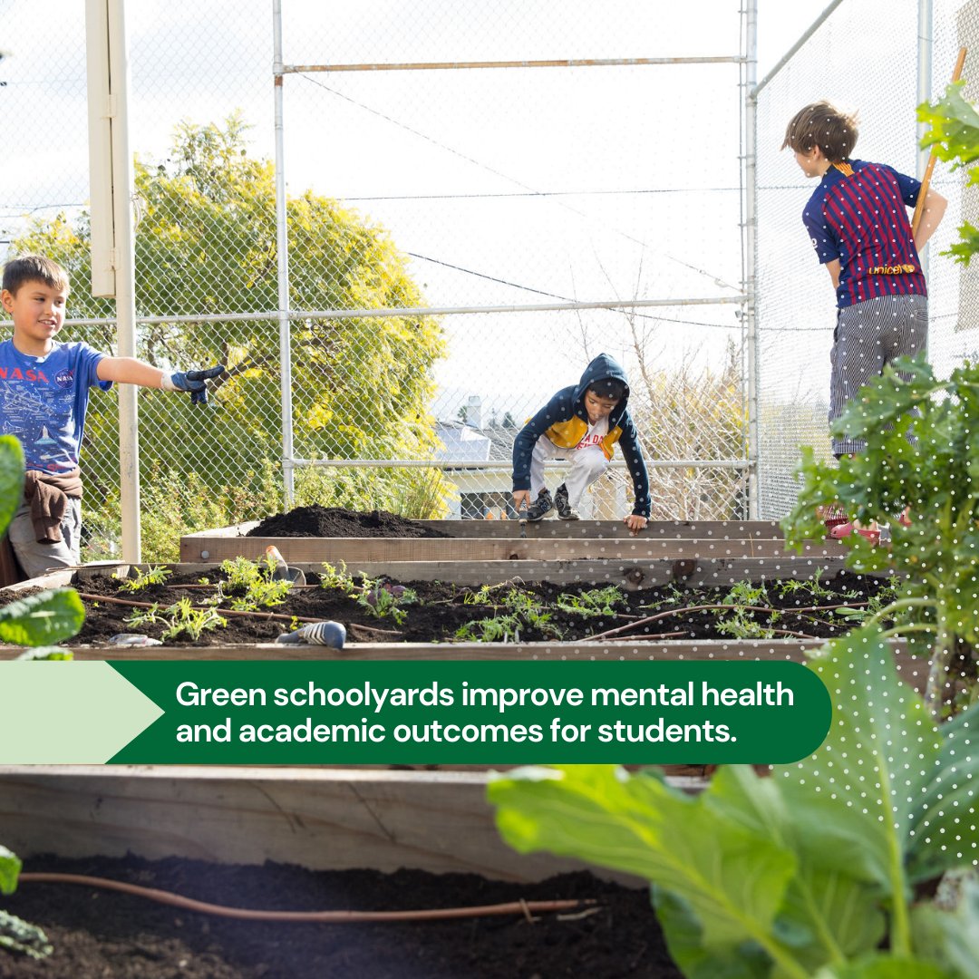 Extreme heat negatively affects children’s mental and physical health - from burns to test scores. Fund $1 billion for #greenschoolyards for safe and healthy learning environments in and out of the classroom. #CALeg #educationbond #AB247 #1BforTheKids
