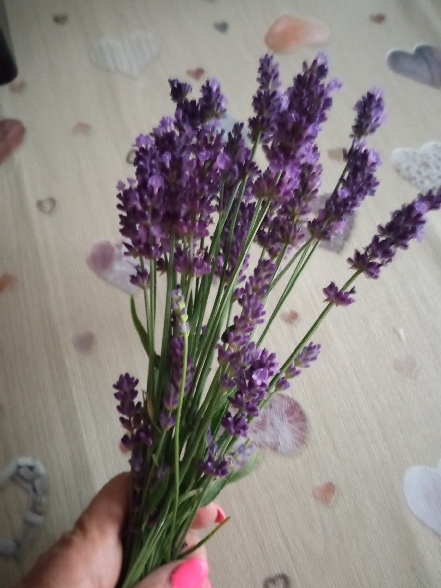 Katalin Mészárosné Türk (@turkkatalin) on Twitter photo 