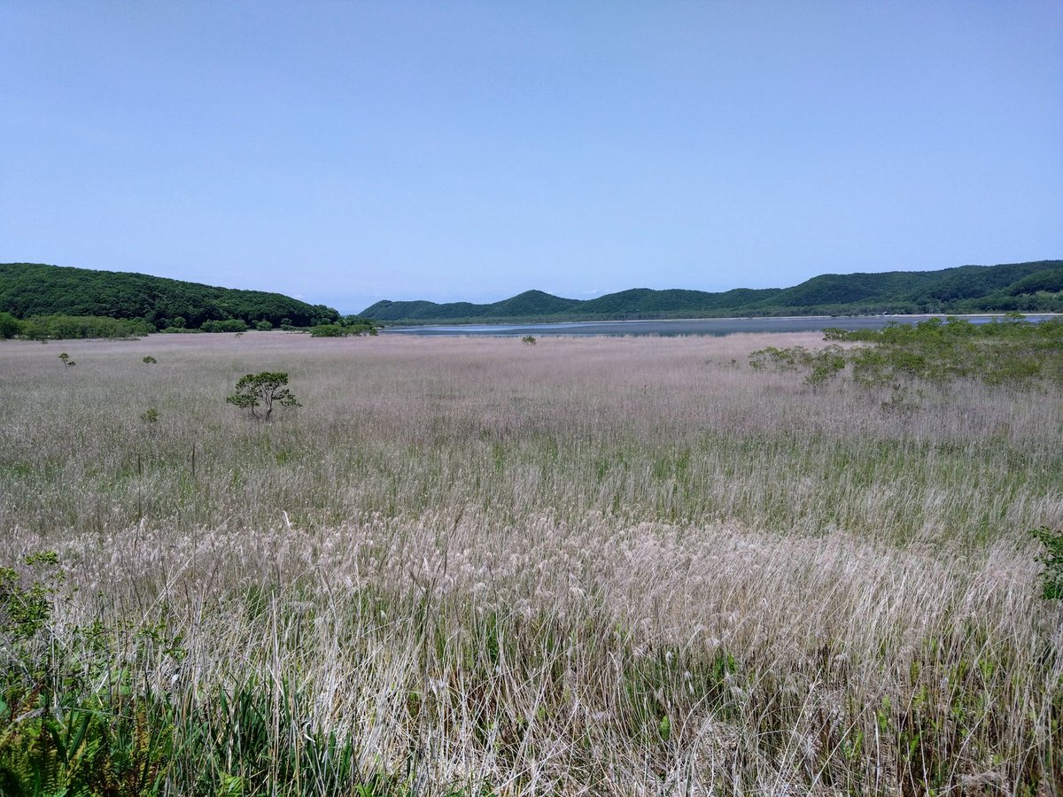 cha_bo_zu's tweet photo. 釧路湿原でヘルシーウォーキング♪ https://t.co/gIJjYnsKEr