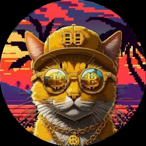 DeegenByDesign's tweet photo. @matthewbarby @LeonidasNFT Yes $OPCAT is the future of #Bitcoin dominance! https://t.co/Rb7OmxqJ76