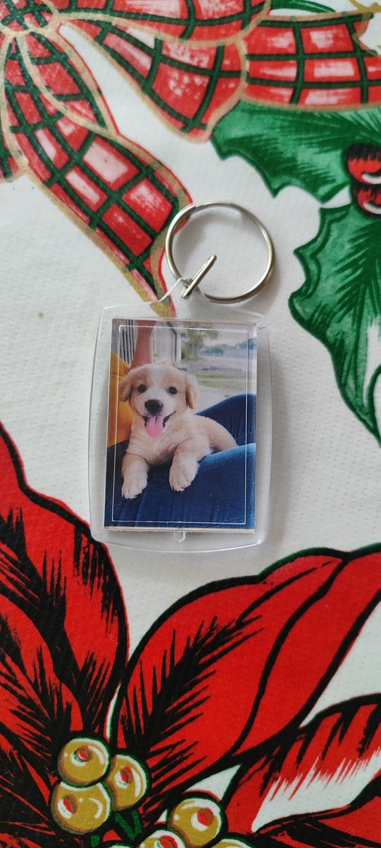 AngelElProBS's tweet photo. Nunca te voy a olvidar, fuiste la mejor perrita que pudimos haber tenido😭😭😭😭 https://t.co/kLkPTC2vqB