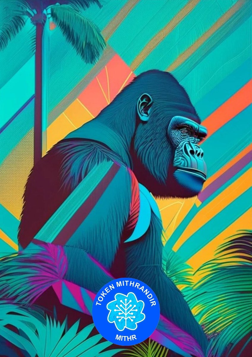 Token MITHR - Valle de Punilla - Córdoba-Argentina tweet media