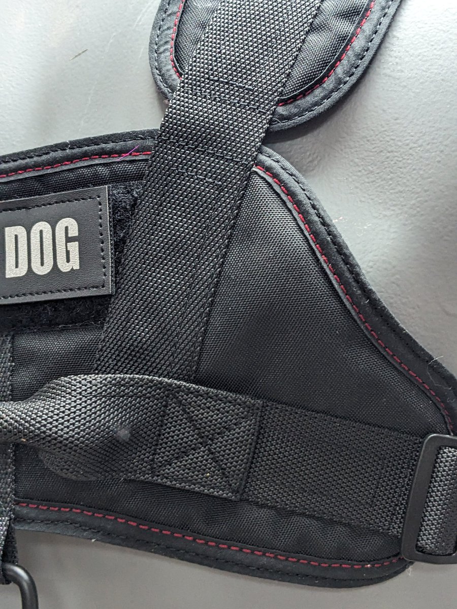 Brand new black version of my service dog harness. I added some red accent stitching to really set it off. This one has sexy black d-rings too!
Available for $295, free US shipping.
Fits 39" to 48" chest
DM me to buy. Thanks! 💜