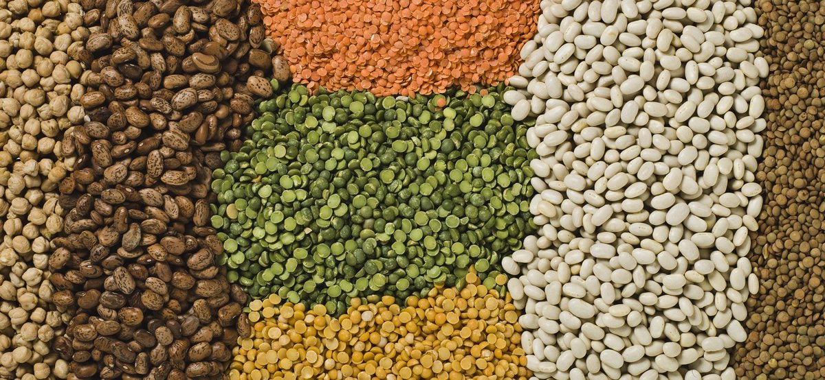 Alrededor del 90% de las #lentejas y semillas de mostaza importadas por #México provienen de #Canadá, líder mundial en producción y venta de #leguminosas.  saboresdecanada.mx/productos.php?… #SaboresdeCanada #ProductosCanadienses