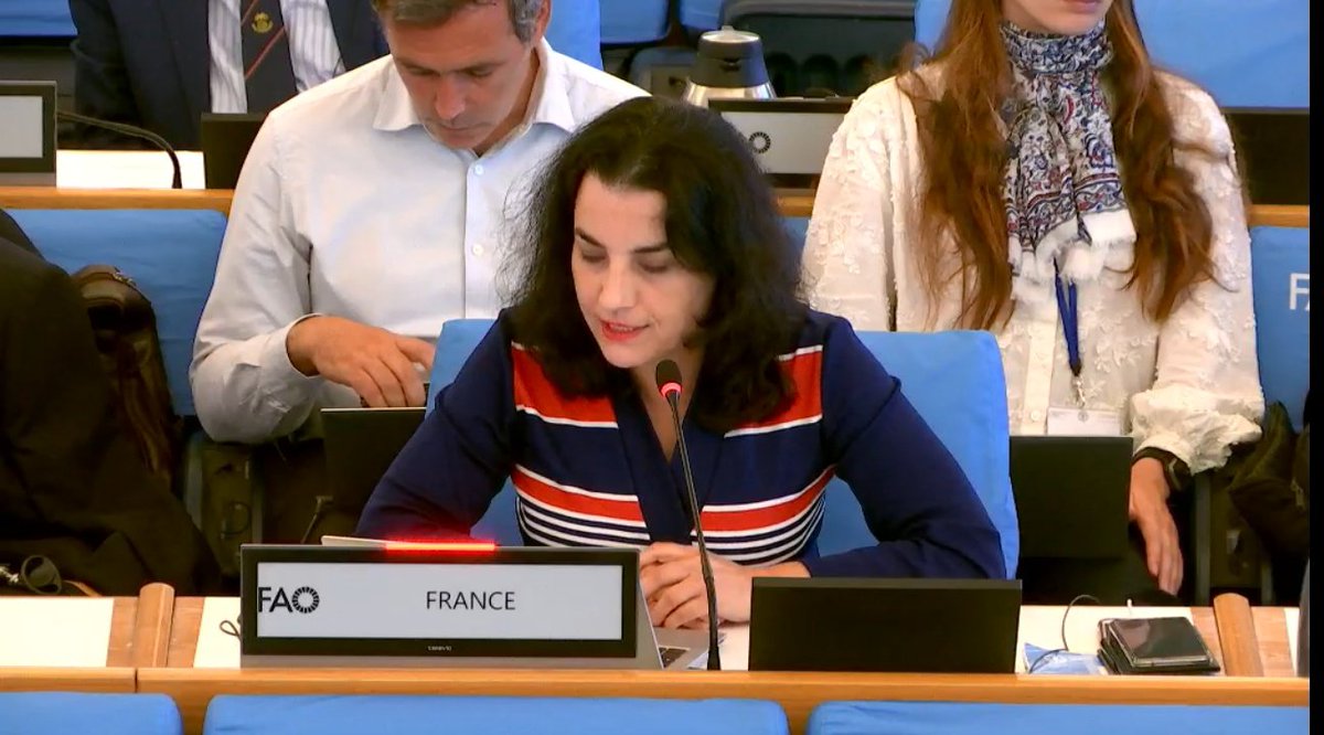 FranceONURome's tweet photo. Statement by France 🇫🇷 at the 175th session of the @FAO Council #CL175 on the situation in #Gaza.
Read here 👉 https://t.co/RsClM7c2Vd https://t.co/h9zeoD5m9O
