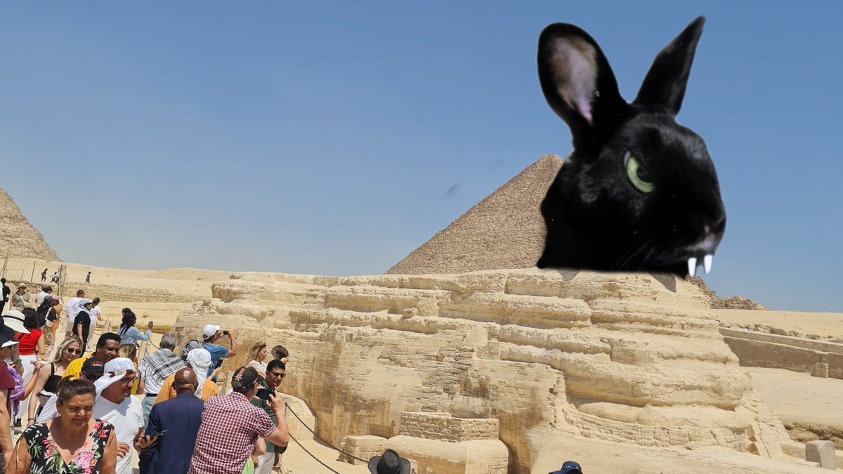 Also die Sphynx heute war schon schick. 🤔
#TranskadseOnTour