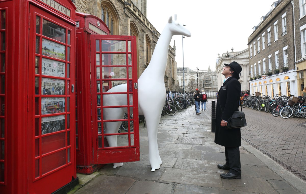 It's only one week until the auction and these giant works of art already have bids! 👀

Take a look at how high the offers are today 👉 info.break-charity.org/Auction 

There is still time to book your auction ticket or register to join us on the night as an online bidder.