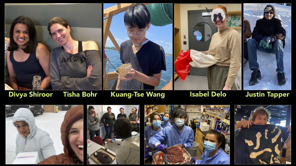 TENURED! 🎉

A HUGE thank you to everyone who has helped me get here: most importantly lab members (pictured below), mentors <a href="/Planaria1/">A. Sánchez Alvarado</a> <a href="/betenoire1/">Cori Bargmann</a> and MANY other informal ones, my department <a href="/CornellMolMed/">Cornell University Molecular Medicine</a>, and family <a href="/guntherwho/">〰Gunther Hollopeter</a>.