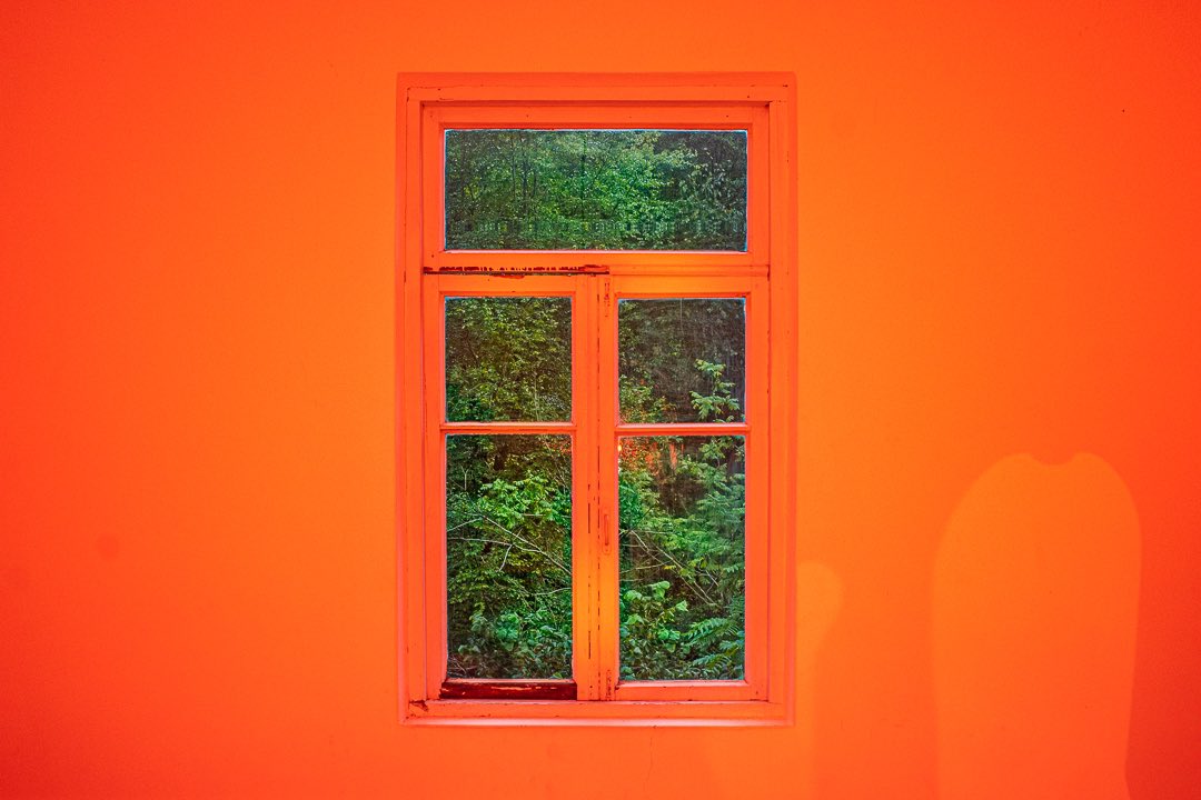 Ilya Daesque tweet media