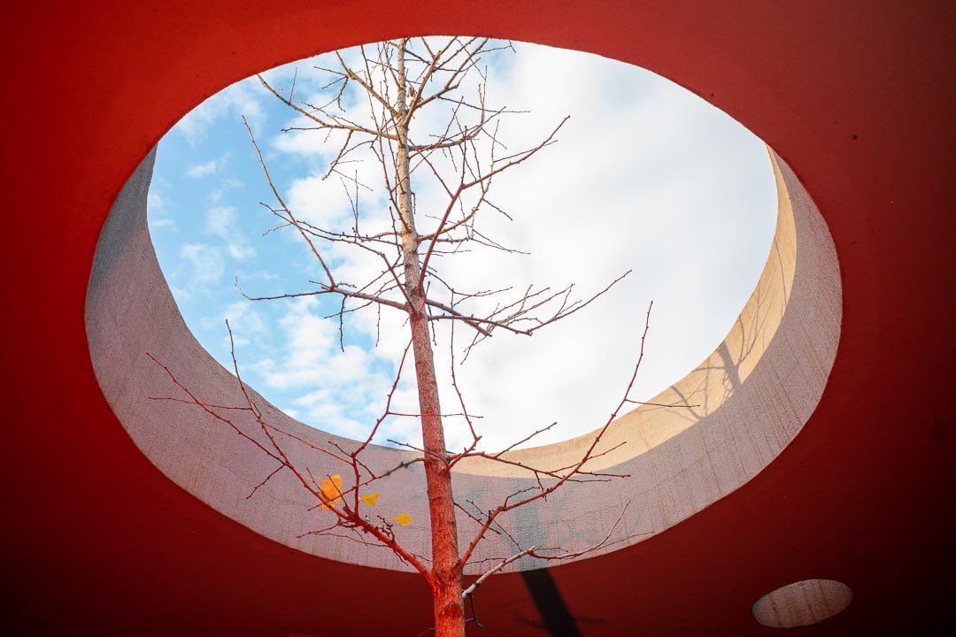 Ilya Daesque tweet media