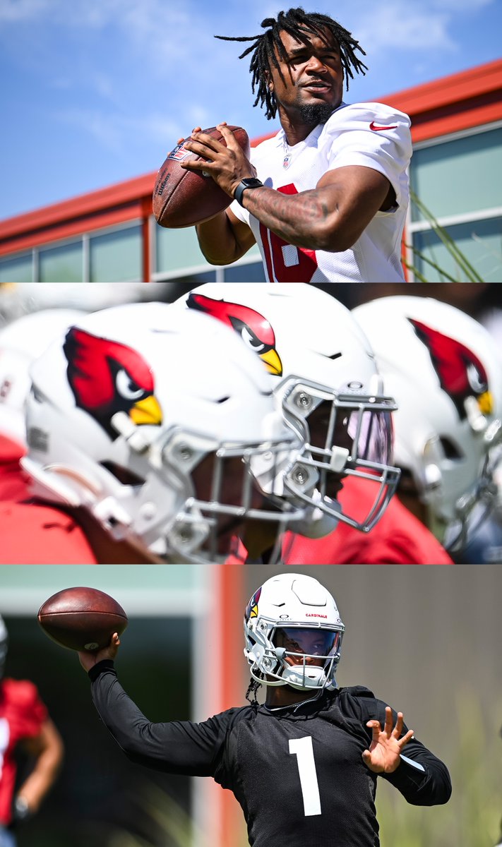 Arizona Cardinals tweet media