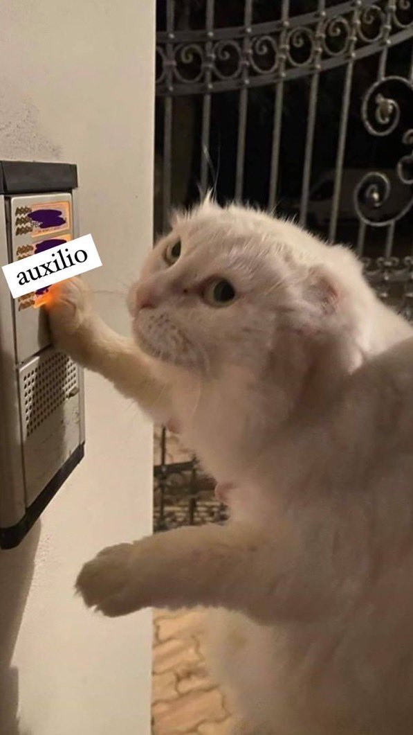 COMO QUE YA NO PODEMOS VER LOS LIKES DE LAS OTRAS PERSONAS??? YA NO VOY A PODER CHISMEAR A GUSTOOOO