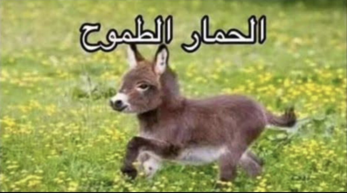 Shaka ϟ | شاكا tweet media