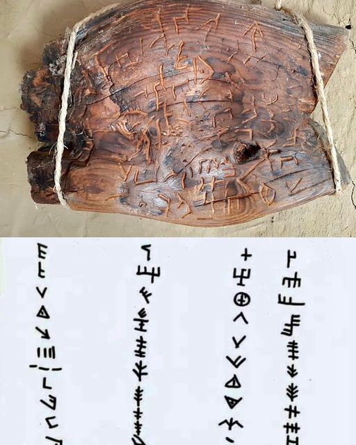 FreshSummerWind's tweet photo. Dispilio Tablet, The Earliest Written Text known; Kastoria, Greece 7260-5250 B.C. about 9000 years ago. https://t.co/9xu6wYUory