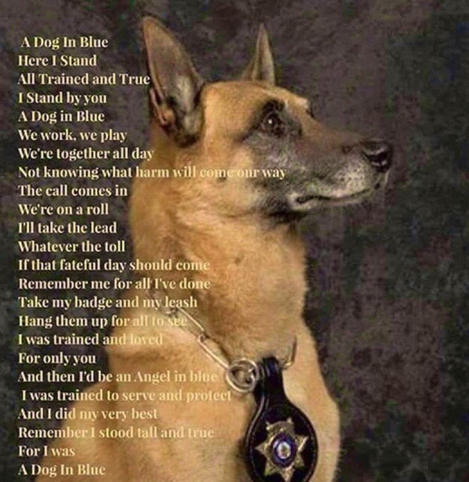 MoonandBack60's tweet photo. @CPLCarr_BCSO Always remember ~ The part of your heart that hurts so bad, is the part you sent with K9 Coba. In return, he has left his heart to fill the empty spot. So sorry for such a tragic loss! 💙🖤🙏 https://t.co/yTLdkYGjlb