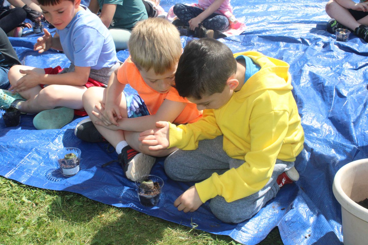 Churchville-Chili Central School District tweet media