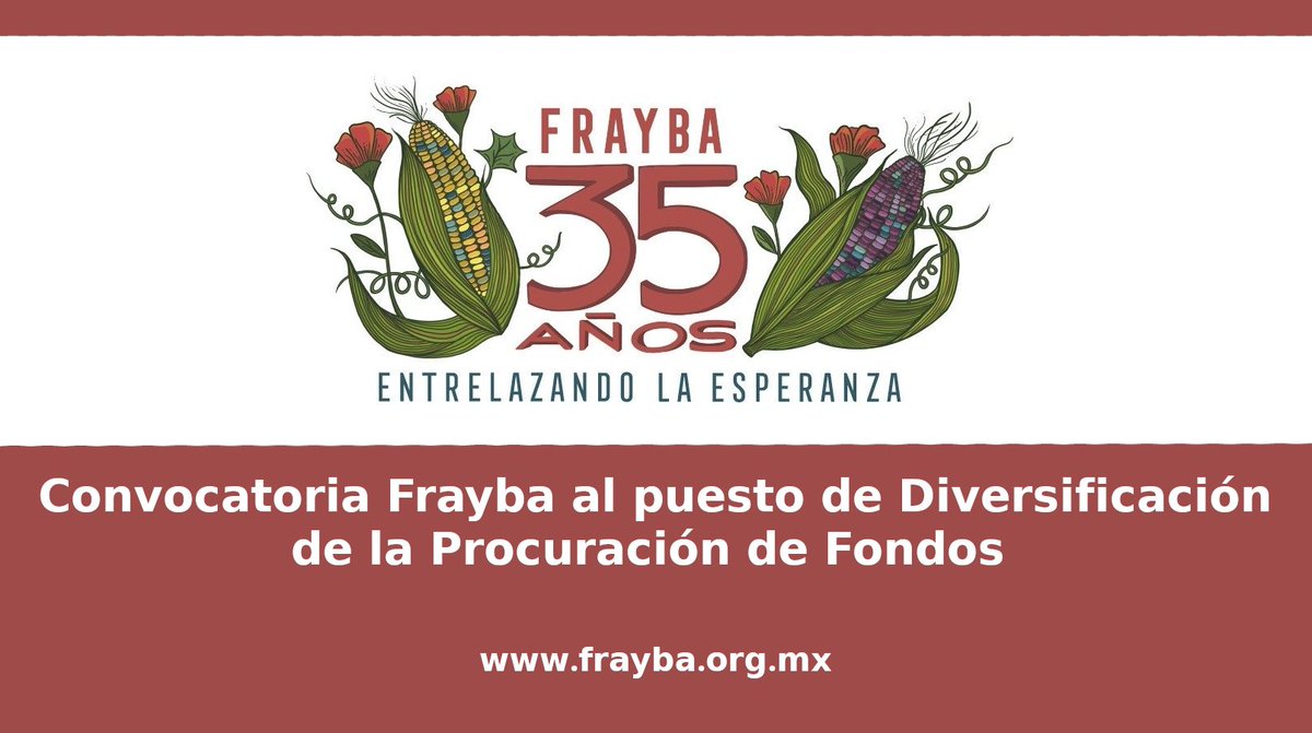 CdhFrayba's tweet photo. #ConvocatoriaFrayba
🔍En el #Frayba abrimos la vacante dentro del Área de Administración para el puesto de: Diversificación de la Procuración de Fondos.
✅ Lee la convocatoria completa
📲https://t.co/xjYgrro35A https://t.co/Bhf8ohnki0