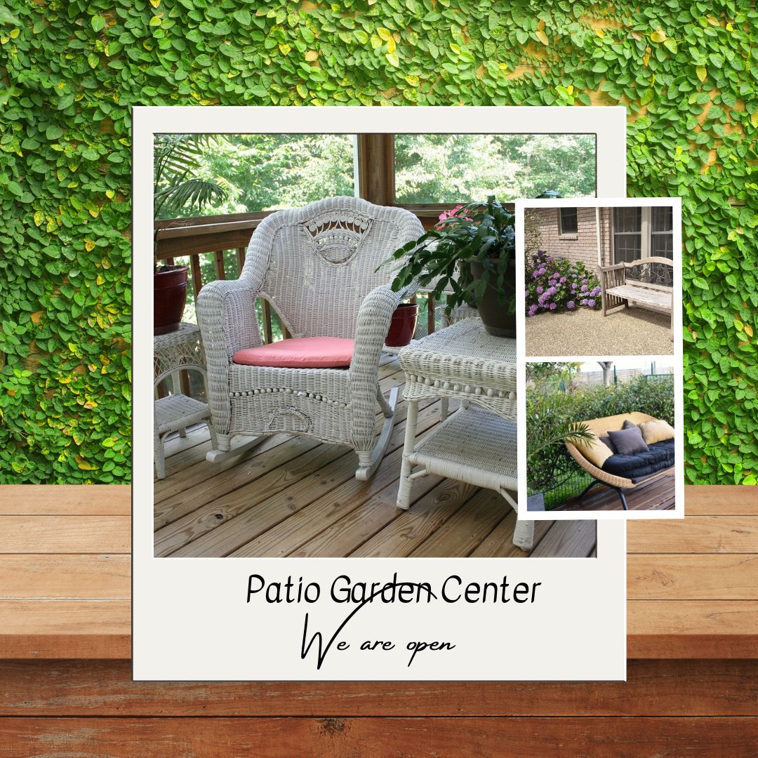 PatioGardenCntr's tweet photo. Our garden & patio store is now live! Bear with us as we finish up some last-minute tweaks.
#LiveNow #UnderConstruction #GardenAndPatio #OutdoorLiving #BackyardBliss #PatioPerfection #GardenDelights #StaycationGoals #OutdoorEscape #GardenMagic #PatioDreams #BackyardGetaway https://t.co/W0XsXHgX6C