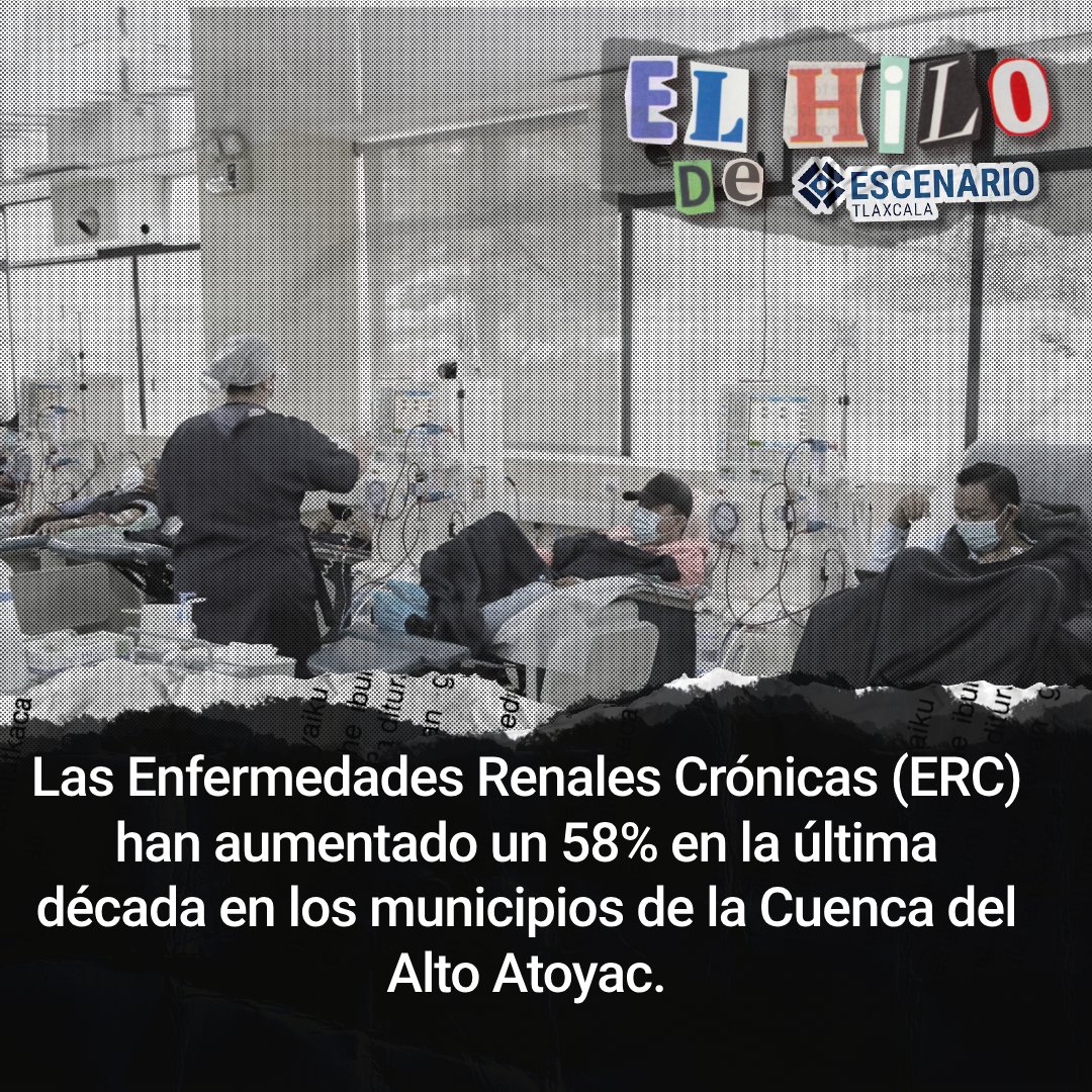 escenariotlx's tweet photo. Las Enfermedades Renales Crónicas (ERC) han aumentado un 58% en la última década en los municipios de la Cuenca del Alto Atoyac. 📈

Abrimos hilo... 🧵 https://t.co/Rjk2aBxpTP